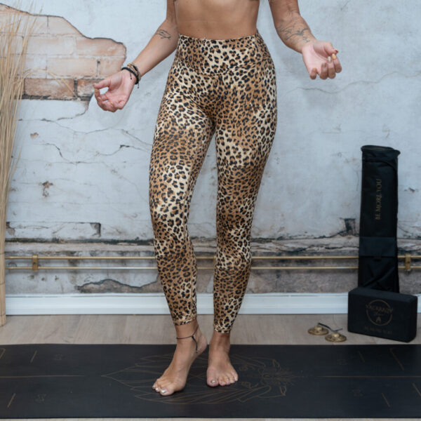 leopard leggings